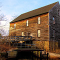 Batsto Sawmill Creekside